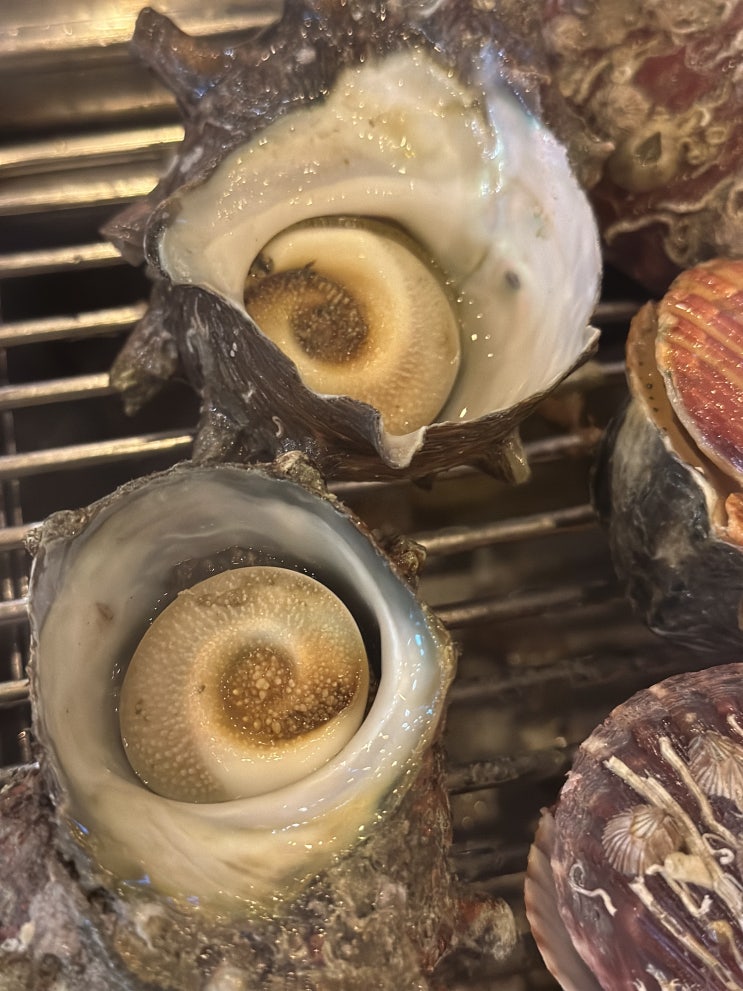  천안조개구이 < 영광조개구이 무한리필 > 천안불당점 불당동맛집 불당동 조개구이