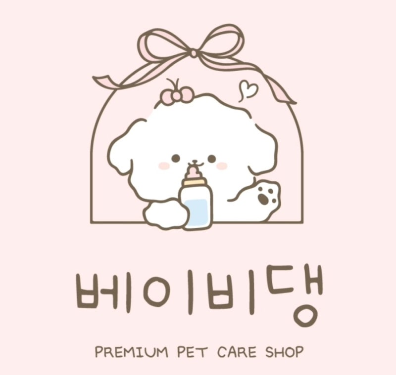 사진 5