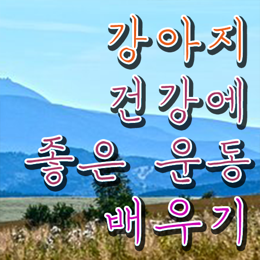  반려견운동지도사 자격증 공부 궁금하셨다고요 ?!