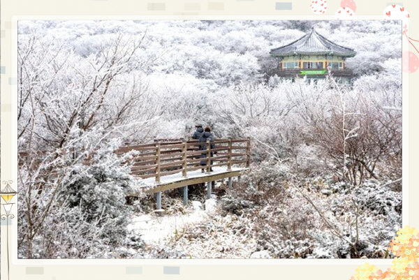  함박눈 올 때 '인생샷' 남기기 좋은 국내 겨울 여행지