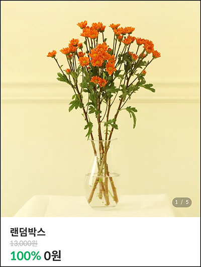 어니스트 플라워 추천인이벤트 랜덤박스 0원(무배)신규 어니스트 플라워 추천인이벤트 랜덤박스 0원(무배)신규