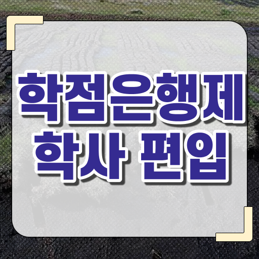  학점은행제 독학사 학사편입 필수 정보 여기에 ?