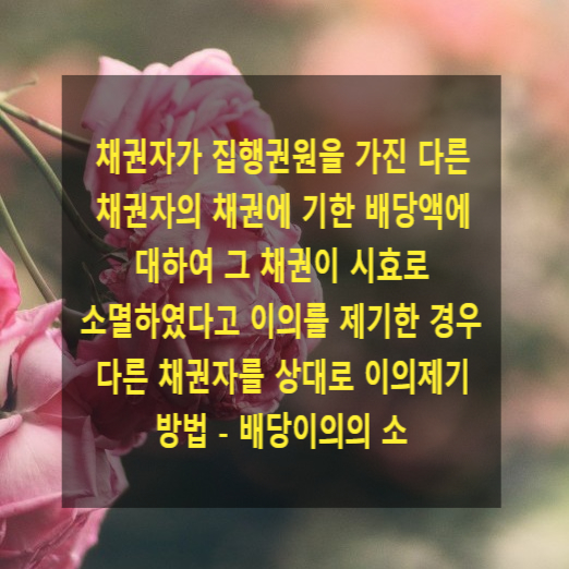  채권자가 집행권원을 가진 다른 채권자의 채권에 기한 배당액에 대하여 그 채권이 시효로 소멸하였다고 이의를 제기한 경우 다른 채권자를 상대로 제기해야 하는 소의 형태