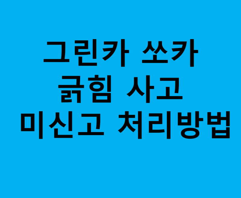 그린카 쏘카 긁힘 사고 미신고 처리방법