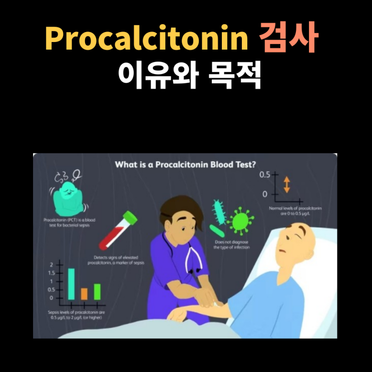  Procalcitonin 프로칼시토닌 염증 검사 이유와 목적에 대해서 알아봐요~