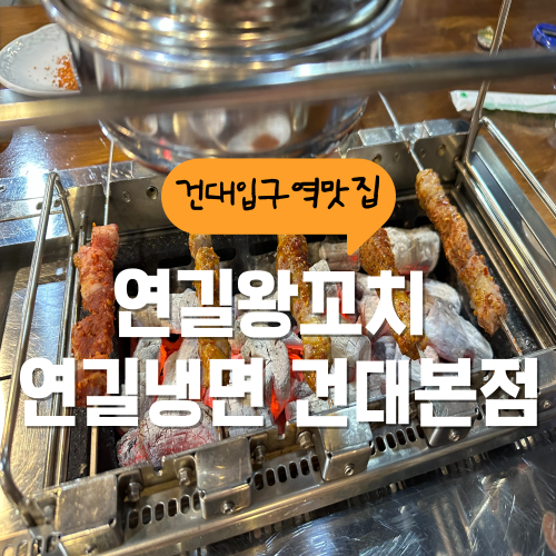 건대 양꼬치 맛집 연길왕꼬치 몇개 먹었을까 건대 양꼬치 맛집 연길왕꼬치 몇개 먹었을까