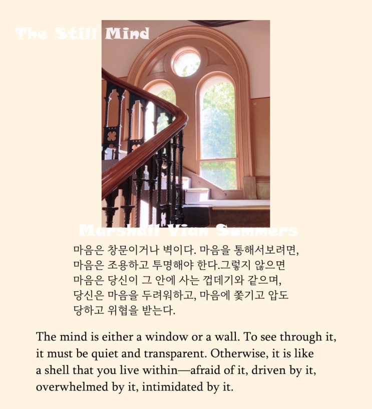 마음은 창문 아니면 벽 마음은 창문 아니면 벽