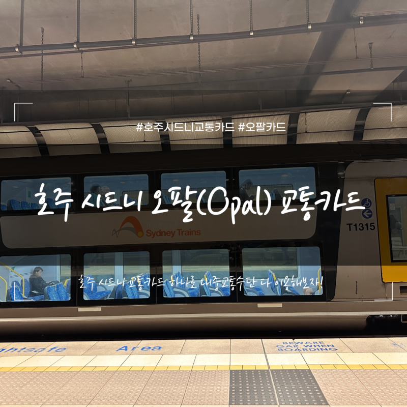 호주 시드니 대중교통 오팔카드, 애플페이, 삼성페이 교통카드 사용 후기