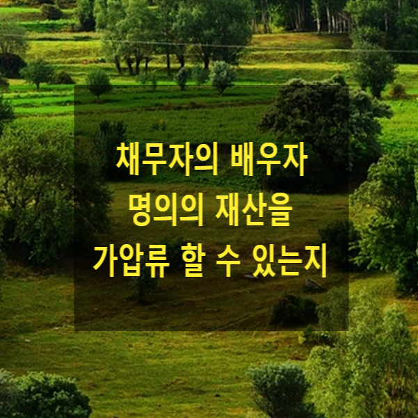  채무자의 배우자 명의의 재산을 가압류 할 수 있는지