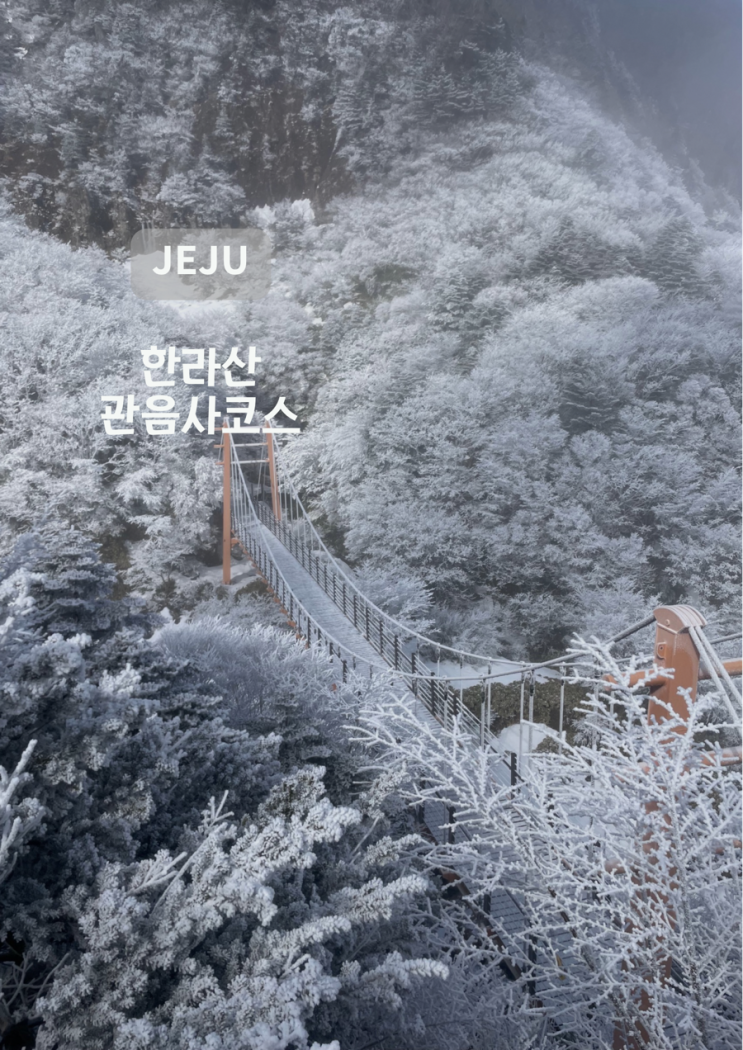  [제주] 한라산, 겨울산행 관음사코스 백록담