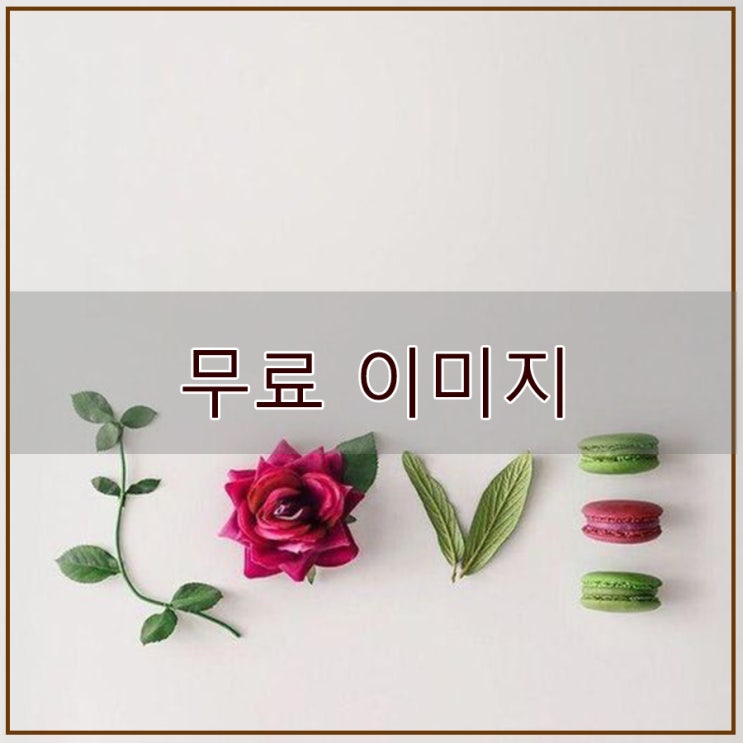  무료 이미지 다운로드 저작권 없는 꽃 일러스트 이미지로 만들어 봤어요^^