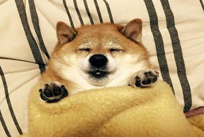 굿핏짐 이미지