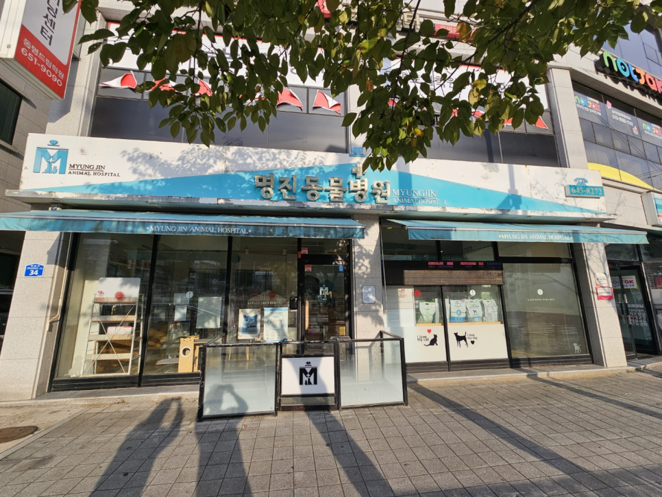 명진동물병원 사진 1