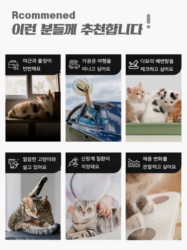 위시렌탈 :: 캣링크 자동화장실 YOUNG