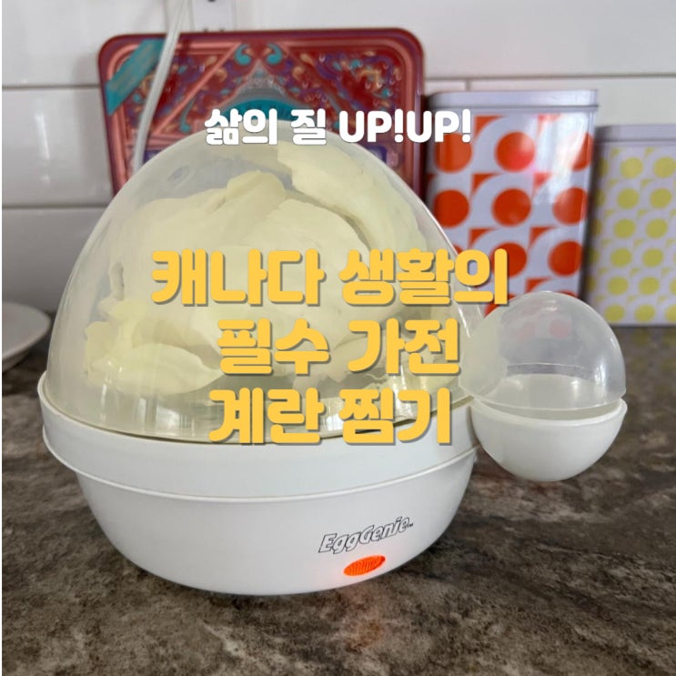  [추천] 계란 찜기 - 캐나다 생활에 없어서는 안될 필수품! 부엌 살림 다 정리하는 와중에 새로 들인 소형 가전. 캘거리 일상을 빛내줄 계란 찜기