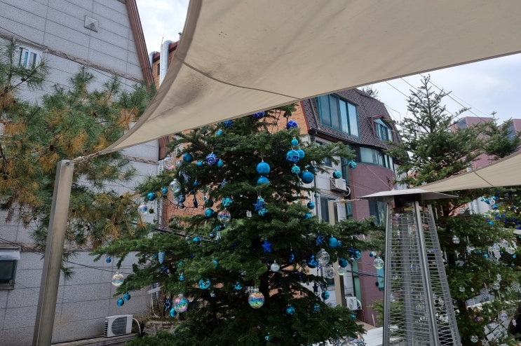 퍼스트커피랩 강남 : 카페를 둘러싼 파란색 트리와 파도