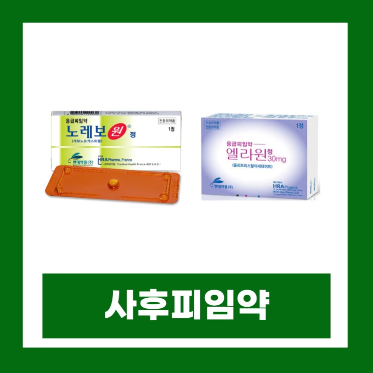  사후피임약 복용법 종류 시간 술 부작용 피임약 처방병원 약국