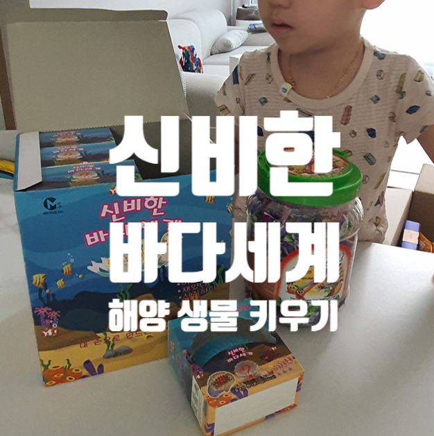  신비한 바다 세계 장난감 캔디 뭐가 나왔을까요