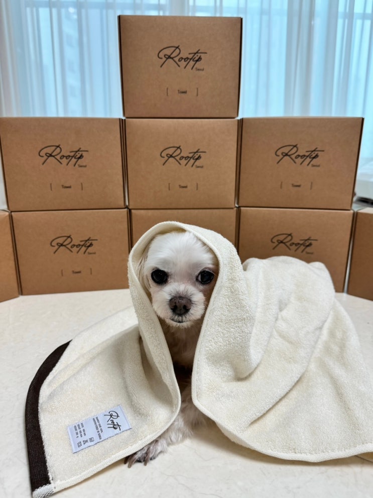  강아지 수건 룻팁 뱀부얀 100% 프리미엄 타올 밤부 목욕용품 추천