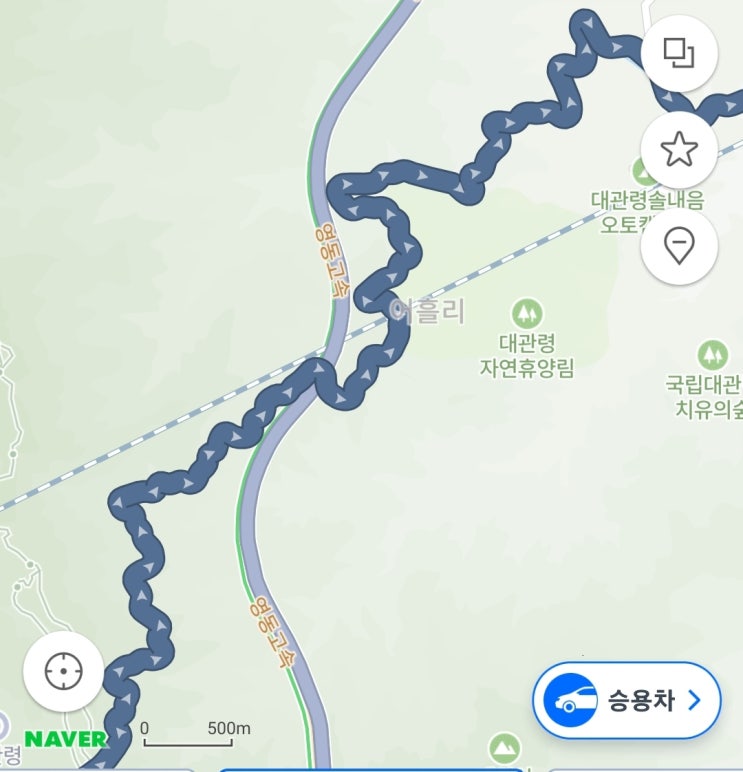 임신 5주차 증상, 입덧 시작과 난황 사라짐에 걱정 한가득