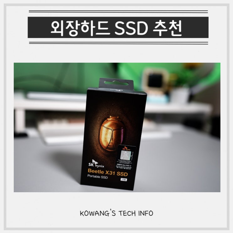 외장하드 SSD 1TB 추천 SK하이닉스 비틀 X31 전송 속도