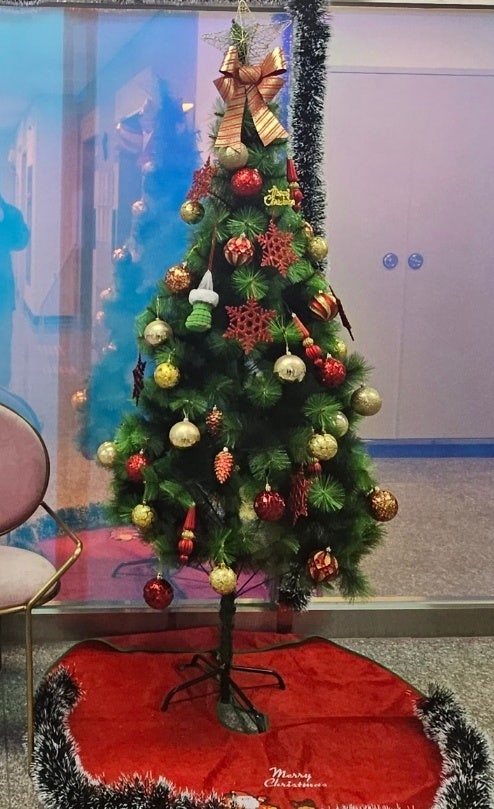새봄음악학원 이미지