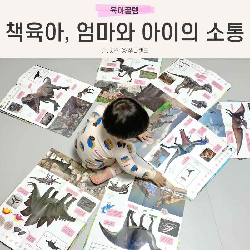 블로그 후기 사진
