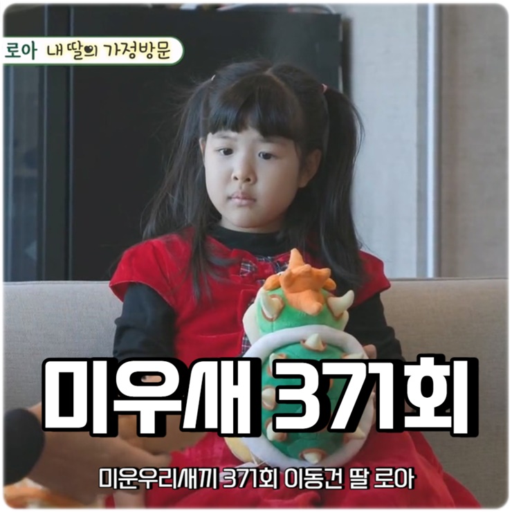미운 우리 새끼 371회 미우새 <b>이동건 딸 로아</b>