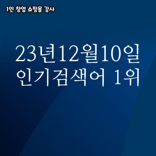 2023년 12월 10일 네이버쇼핑 분야별 인기 검색어 1위