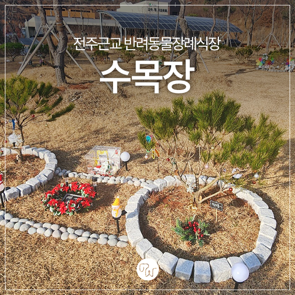  전주근교 반려동물장례식장 수목장 근황 보여드려요