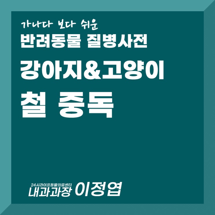 대구24시동물병원 : 강아지가 핫팩 먹었을 때 / 철중독