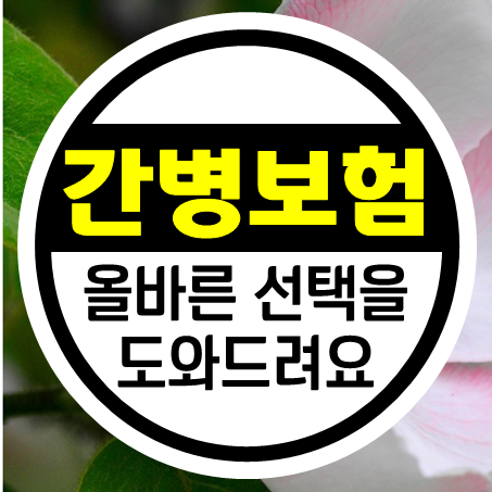  비갱신간병보험 추천, 간병인 서비스를 받은 후 비갱신간병비보험으로 보장 받으세요.