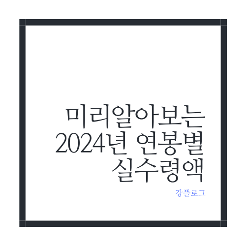  2024년 연봉별 실수령액 정리