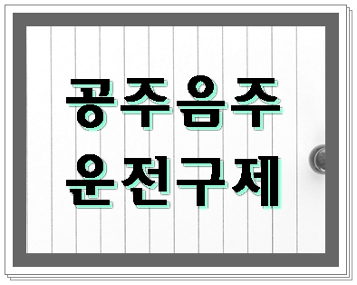  공주 음주운전 구제 두 가지가 중요합니다 전문 행정사