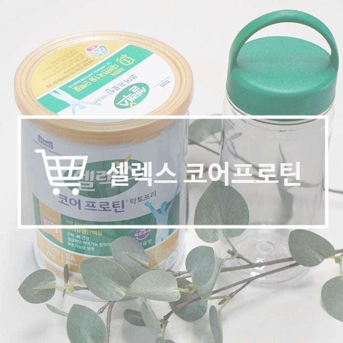 셀렉스 코어프로틴 락토프리 속편한 분리유청단백질추천 해요