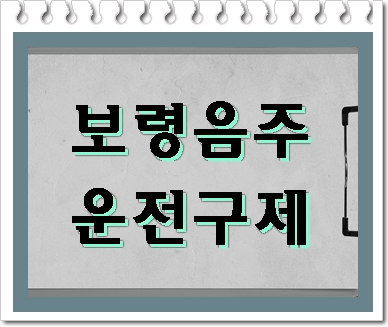  보령 음주운전 행정심판 진행 및 탄원서 작성에 관해
