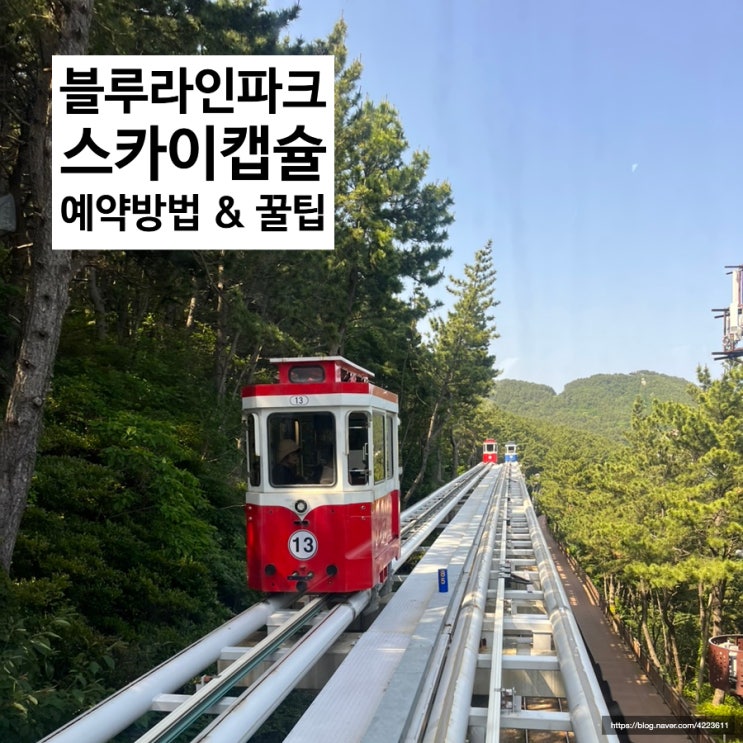 부산 해운대 블루라인파크 스카이캡슐 예약 방법 및 후기 / 스카이캡슐 해변열차 다 타본 사람의 꿀팁