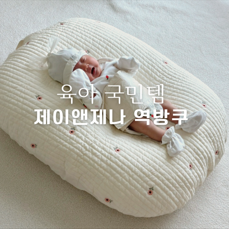 제이앤제나 역류방지쿠션 후기 신생아 역방쿠 사용시기