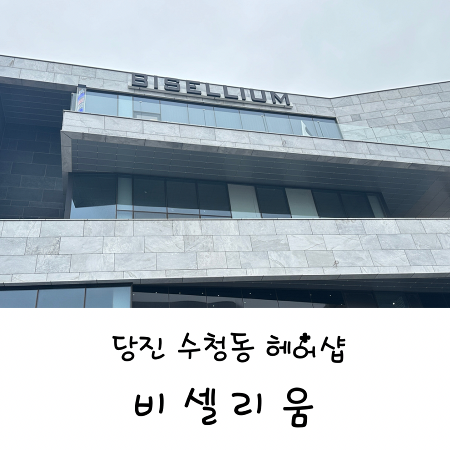 비셀리움 사진 1