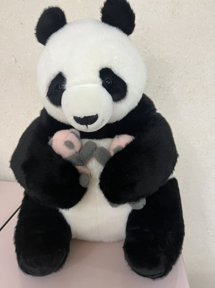 아이바오 인형 <b>쌍둥이 판다</b> 내돈내산