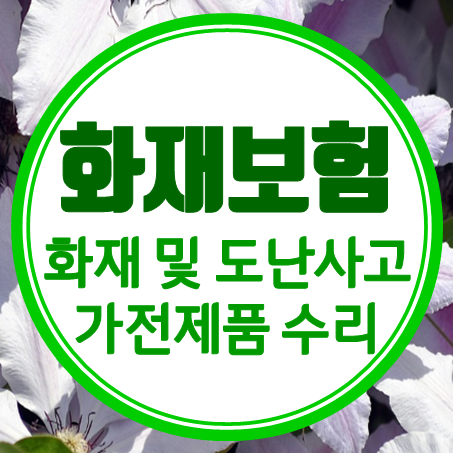  아파트화재보험비용 얼마 나오는지 아파트화재보험비교 견적을 바로 뽑아볼 수 있어요.