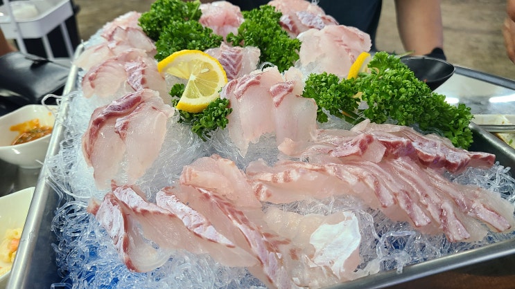 함덕맛집 함덕수산시장 다금바리 사촌 구문쟁이 존맛