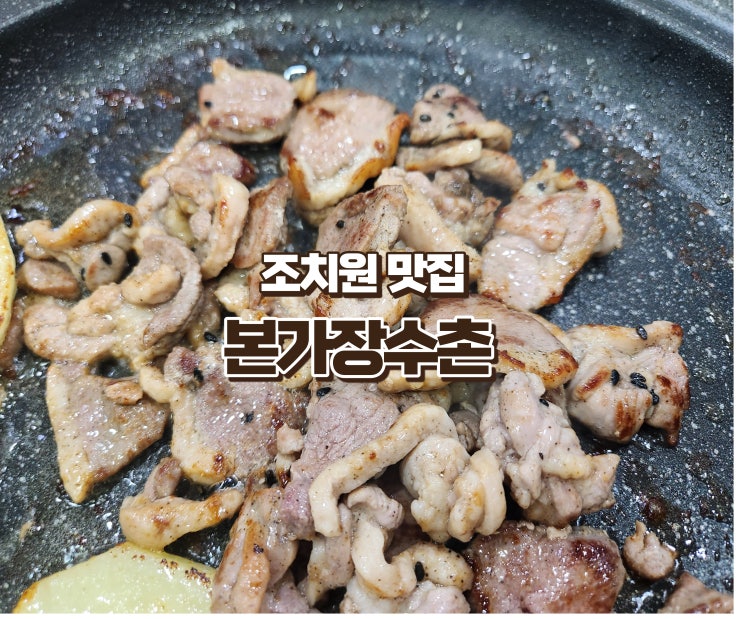  조치원 본가장수촌에서 몸보신하고 기력보충! 코스요리추천