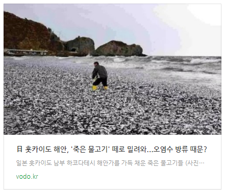[뉴스] 日 훗카이도 해안, '죽은 물고기' 떼로 밀려와...오염수 방류 때문?