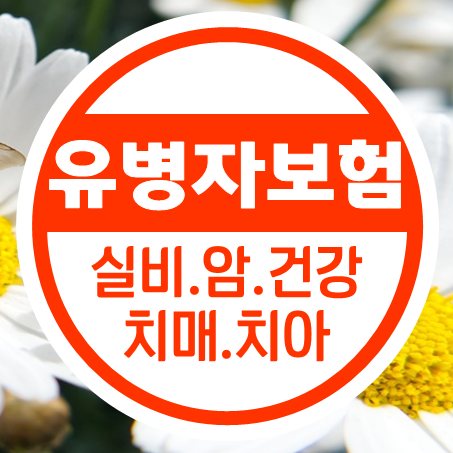  유병자보험 가입, 실비 암보험 건강, 치매 및 치아 등 다양한 종류의 유병자간편보험을 비교해 보세요.