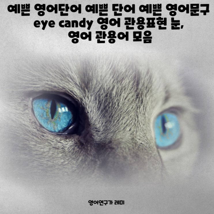 예쁜 영어단어 예쁜 단어 초등 영단어 예쁜 영어문구 eye 영어 관용표현 눈, 영어 관용어 모음 (+ 현재완료진행형) 예쁜 영어단어 예쁜 단어 초등 영단어 예쁜 영어문구 eye 영어 관용표현 눈, 영어 관용어 모음 (+ 현재완료진행형)