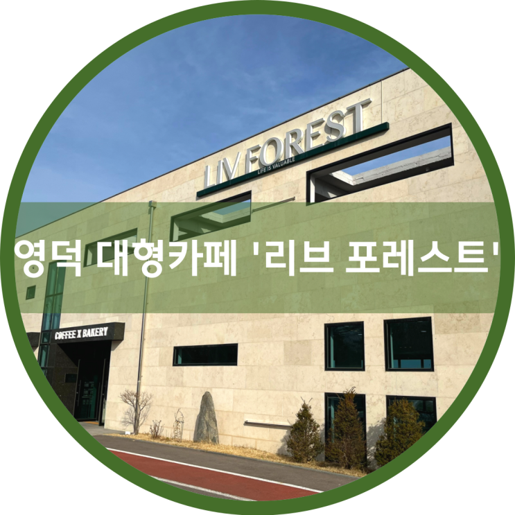  영덕 대형 베이커리 카페 '리브 포레스트'에 다녀왔어요.
