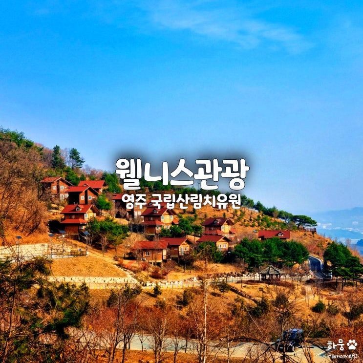  경북 영주 가볼만한곳 웰니스관광 국립산림치유원 힐링여행