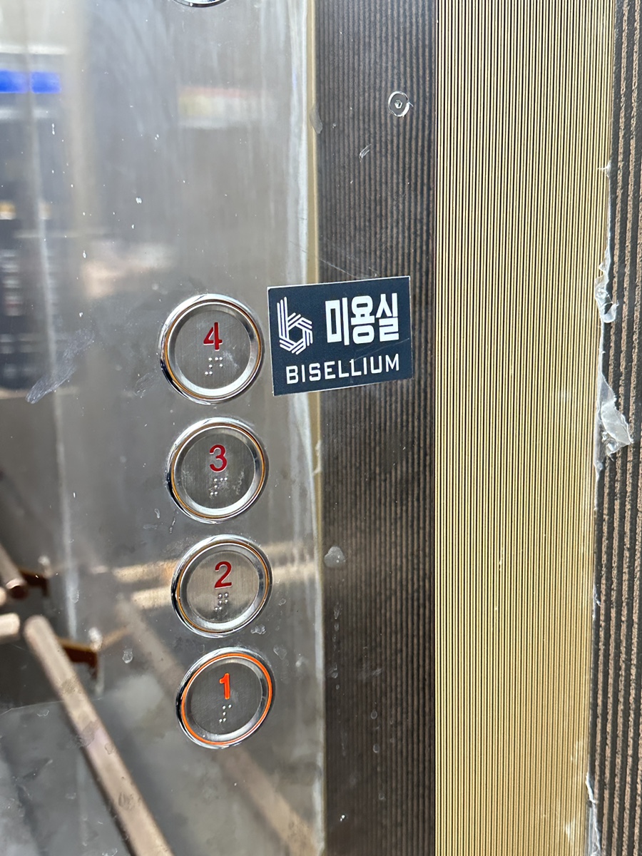 비셀리움 사진 5