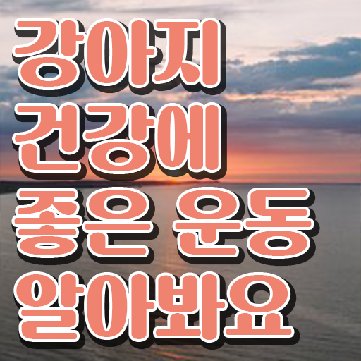  반려견운동지도사 1급 자격증 빠른 취득 알아보기 ~